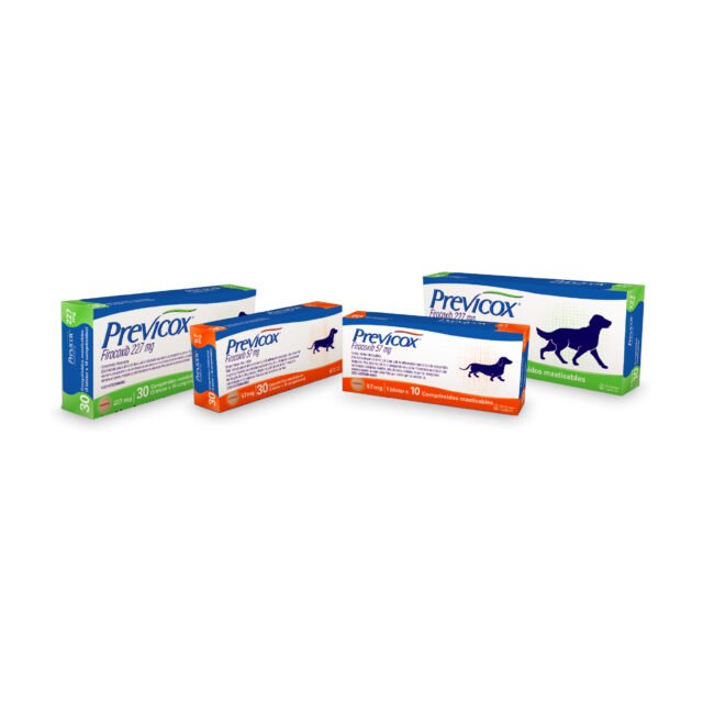 PREVICOX indicado en perros para el alivio del dolor y de la inflamación asociados a la osteoartritis y la inflamación postoperatorio
