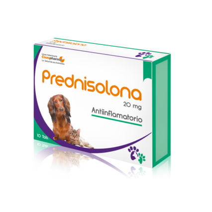 Prednisolona 20 mg tabletas