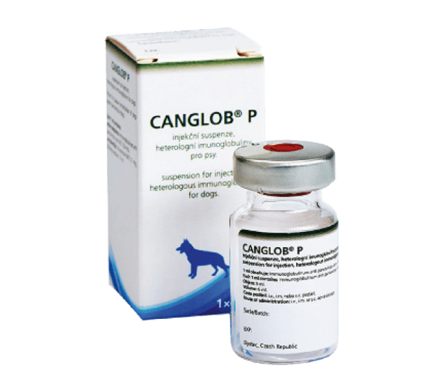 Canglob P Inmunoglobulina antiparvovirus canino