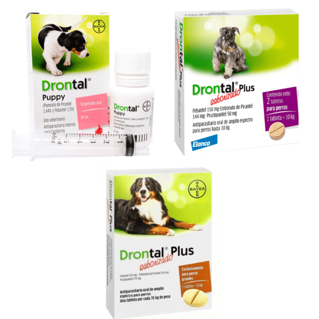 Drontal para Perros: Desparasitante Eficaz contra Lombrices Intestinales