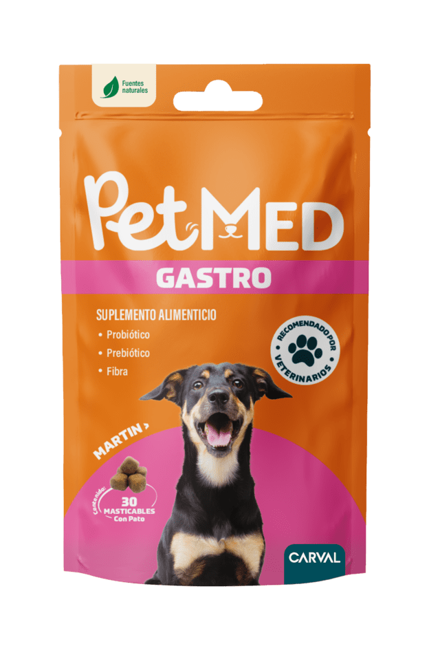 PetMed Gastro – Suplemento Alimenticio con Prebióticos y Probióticos para Perros Adultos