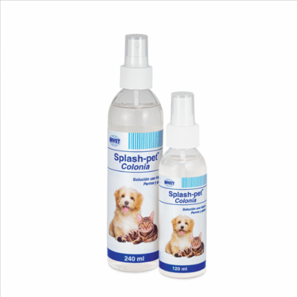 Splash Pet colonia